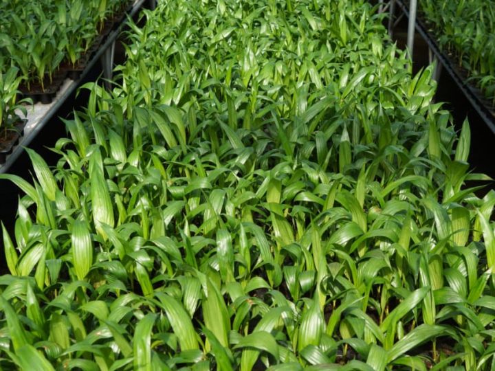 WhatsApp Image 2025-12-13 at 07.30.27