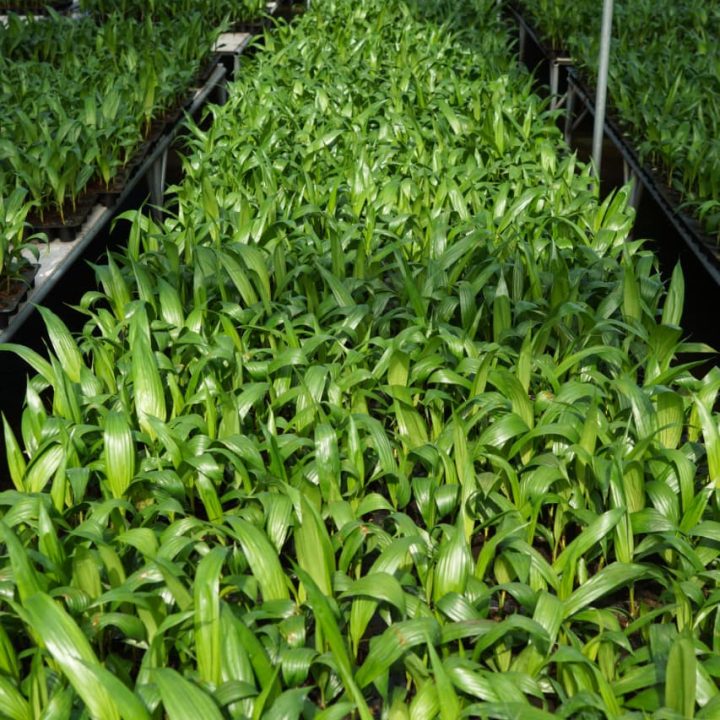 WhatsApp Image 2025-12-13 at 07.30.27